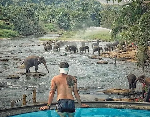Hotel Elephant Bay