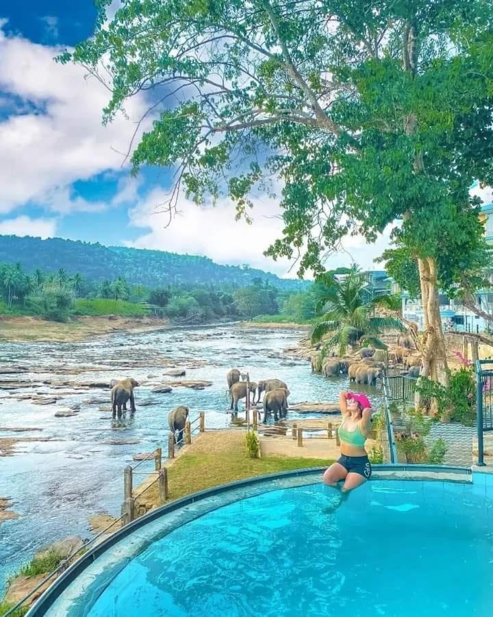 Elephant Bay 4* Pinnawala (Kegalle)