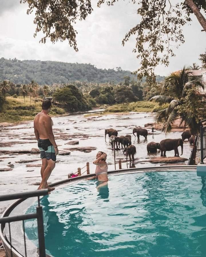 Elephant Bay Hotel
