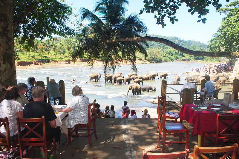 Elephant Bay Hotel