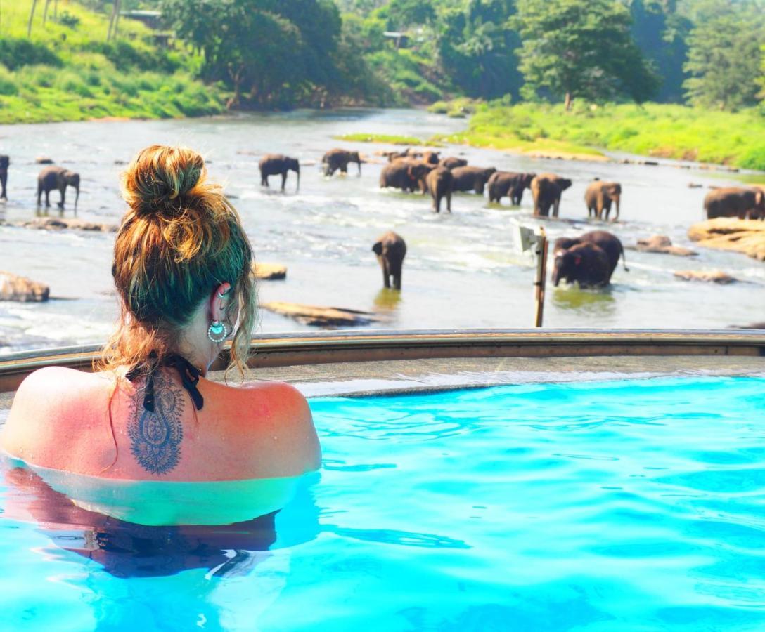 Elephant Bay 4*