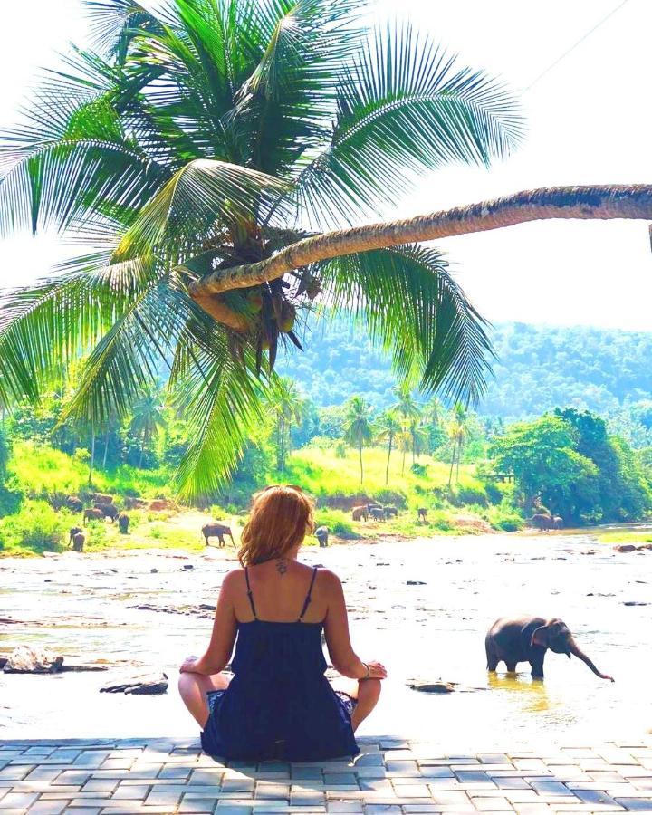 Elephant Bay