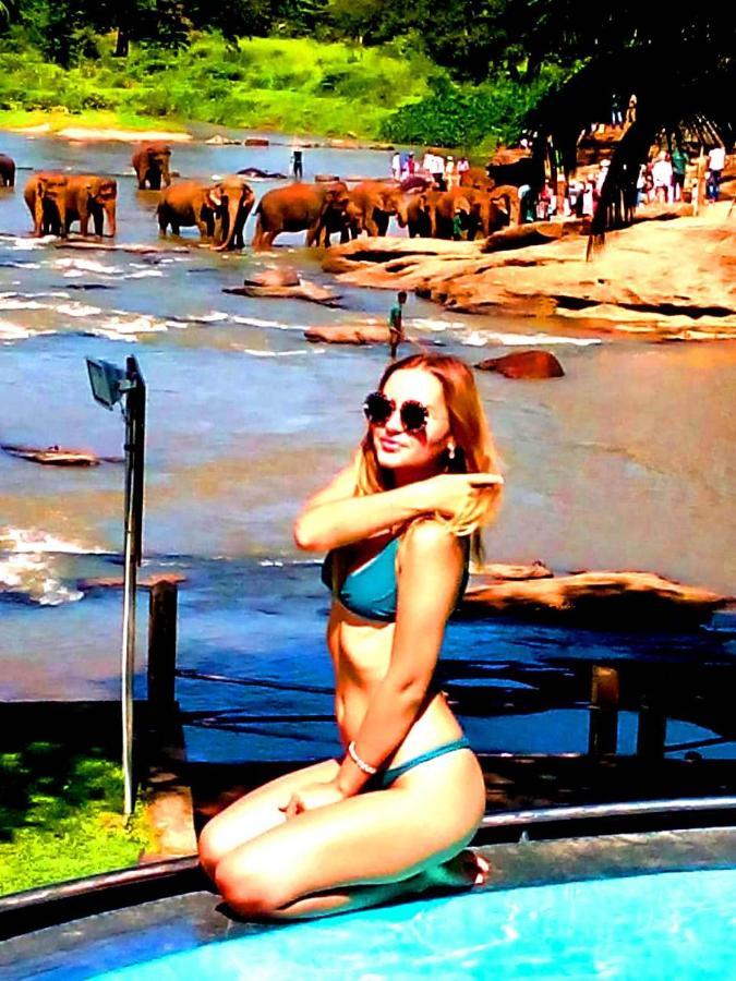 Hotel Elephant Bay