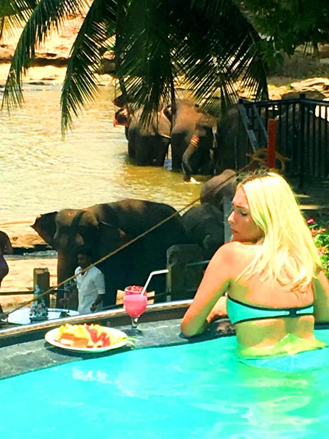 Elephant Bay Pinnawala (Kegalle)